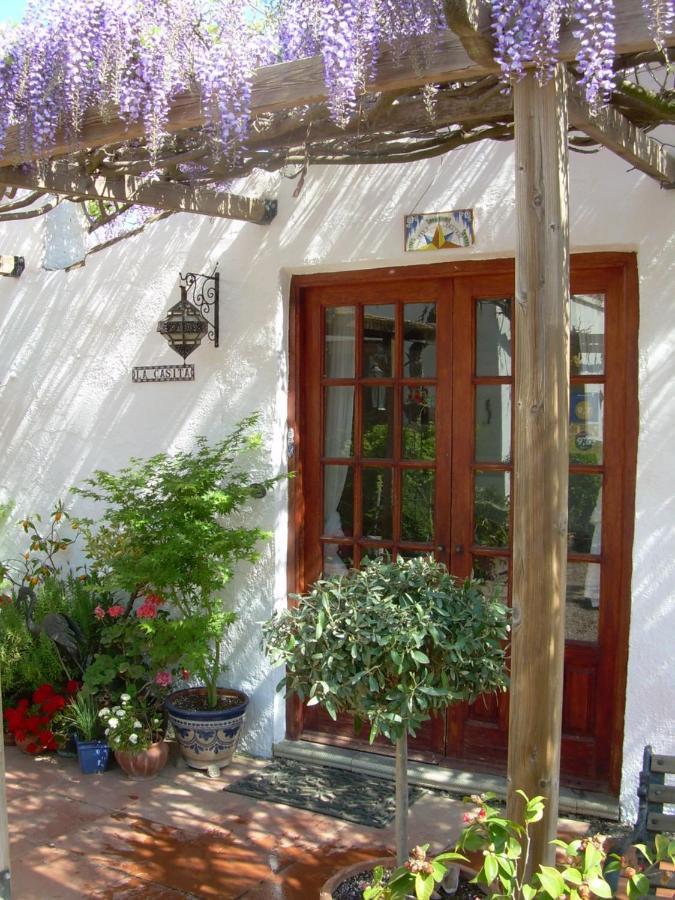 Tivenys River Ebro Holidays المظهر الخارجي الصورة
