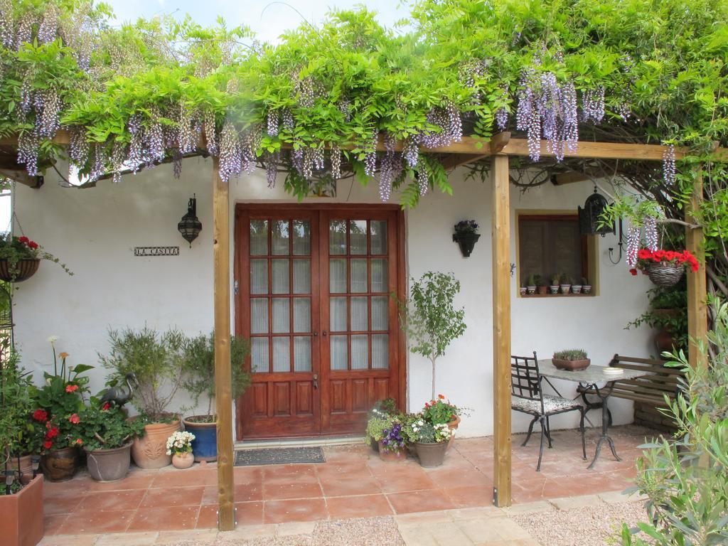 Tivenys River Ebro Holidays المظهر الخارجي الصورة